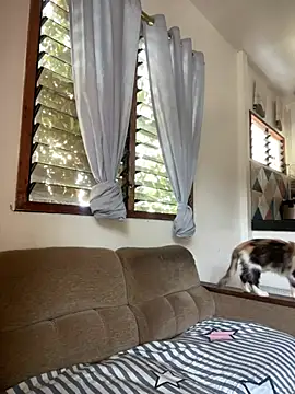 asiantwink0000 online show from February 2026 04:32:01 AM