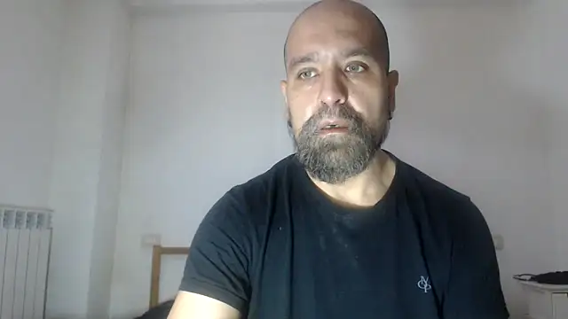 AMIRDIB2025 online show from May 2026 09:57:02 AM