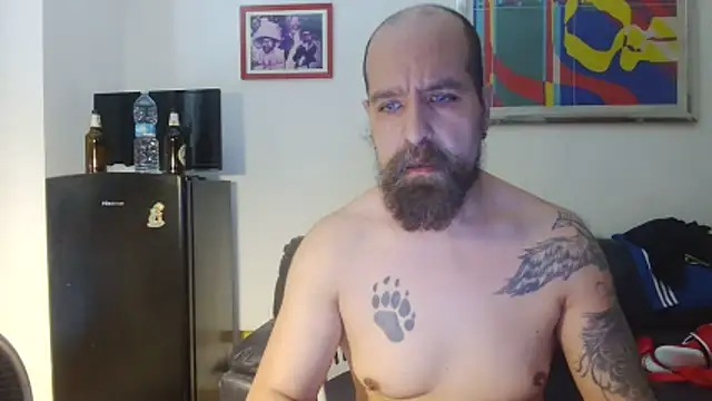 AMIRDIB2025 online show from June 2026 12:27:02 PM