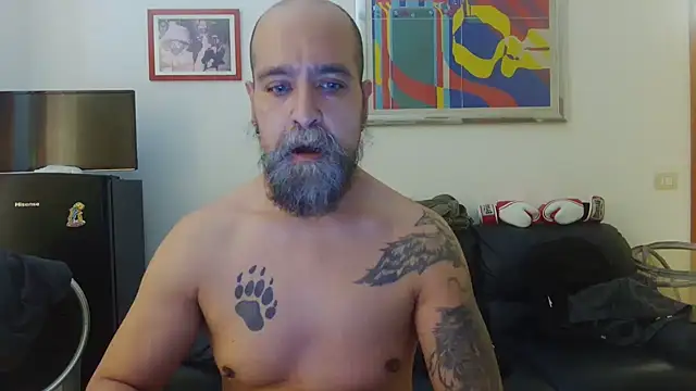 AMIRDIB2025 online show from June 2026 01:55:01 PM