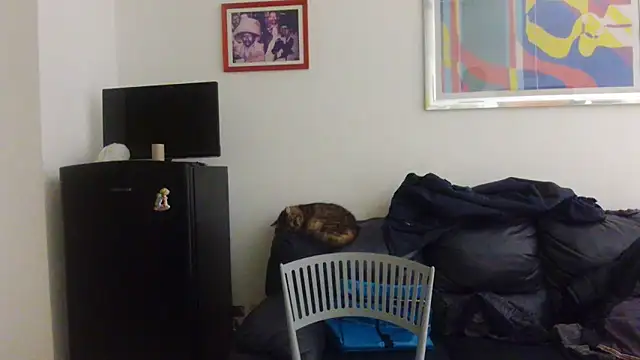 AMIRDIB2025 online show from April 2026 12:24:01 AM