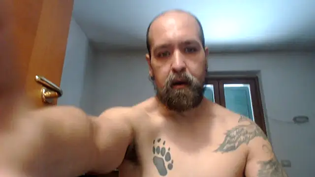 AMIRDIB2025 online show from July 2026 03:24:01 PM