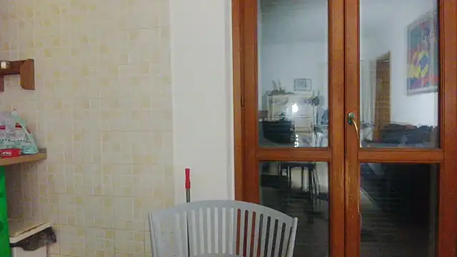 AMIRDIB2025 online show from March 2026 12:04:01 AM