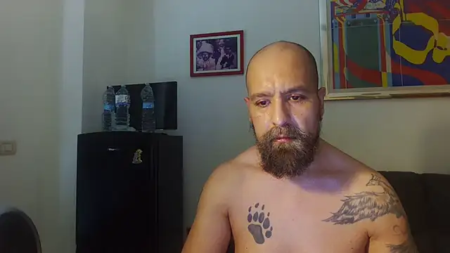 AMIRDIB2025 online show from July 2026 01:59:01 PM