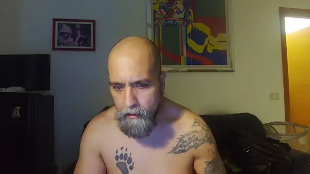AMIRDIB2025 online show from June 2026 05:43:01 PM