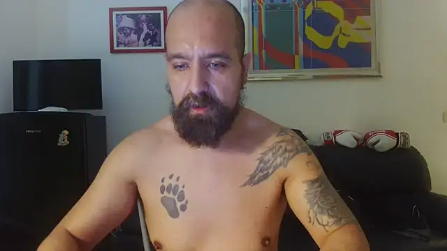 AMIRDIB2025 online show from June 2026 04:29:02 PM