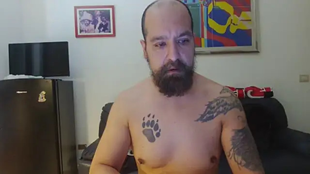 AMIRDIB2025 online show from June 2026 11:49:02 AM