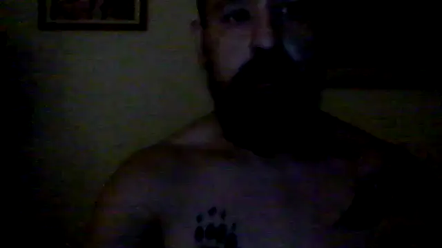 AMIRDIB2025 online show from July 2026 02:56:01 AM