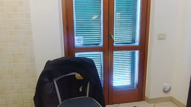 AMIRDIB2025 online show from February 2026 10:28:01 AM