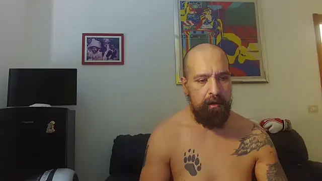 AMIRDIB2025 online show from June 2026 10:47:02 AM