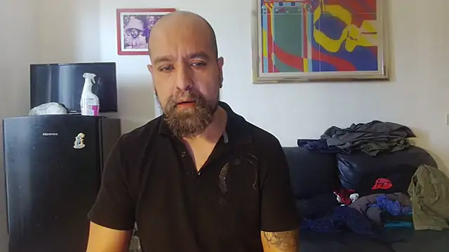 AMIRDIB2025 online show from May 2026 10:52:01 AM