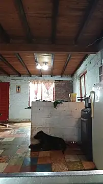 ChanneldelaCroix online show from March 2026 01:37:01 PM