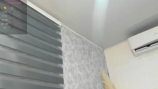 Brizza H033 online show from February 2026 10:31:01 PM