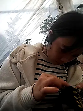 Alibabapi online show from February 2026 07:41:02 AM