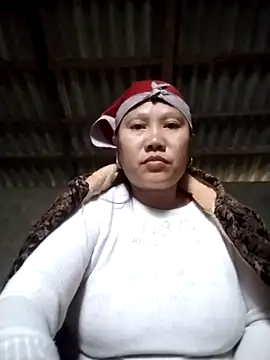 LeoPet2x online show from January 2026 04:16:02 AM