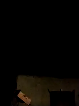 LeoPet2x online show from February 2026 01:44:01 PM