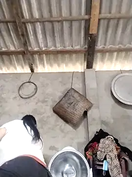 LeoPet2x online show from March 2026 04:57:02 AM