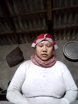 LeoPet2x online show from February 2026 02:00:01 AM