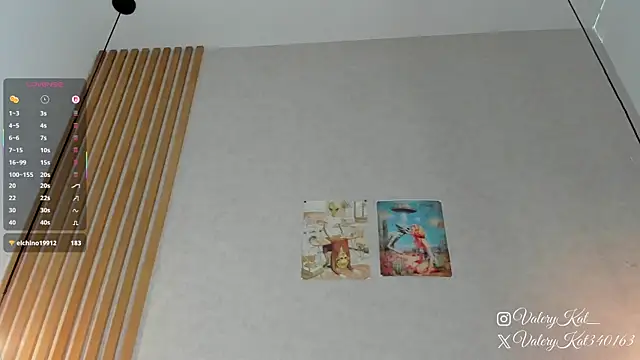 Snapshot of Valerykat_ chatting on February 2026 11:41:01 AM Valerykat online show from February 2026 11:41:01 AM