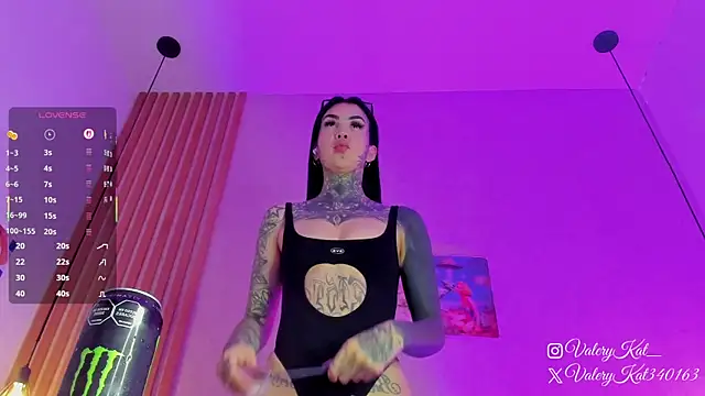 Snapshot of Valerykat_ chatting on February 2026 11:43:02 AM Valerykat online show from February 2026 11:43:02 AM