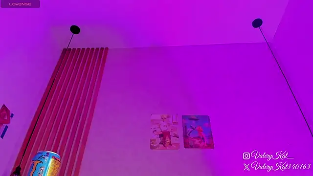 Snapshot of Valerykat_ chatting on February 2026 11:32:01 AM Valerykat online show from February 2026 11:32:01 AM