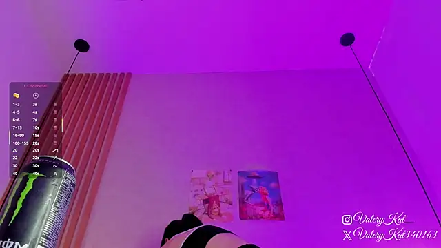 Snapshot of Valerykat_ chatting on February 2026 11:45:01 AM Valerykat online show from February 2026 11:45:01 AM