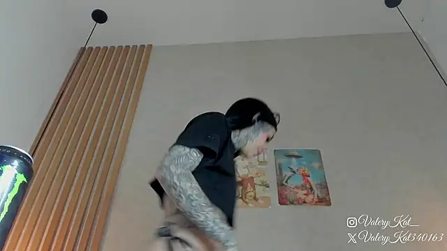 Snapshot of Valerykat_ chatting on February 2026 12:01:02 PM Valerykat online show from February 2026 12:01:02 PM