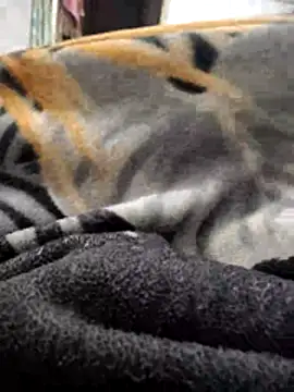 Snapshot of TwinklyBasket897 chatting on December 2025 04:34:02 PM TwinklyBasket897 online show from December 2025 04:34:02 PM