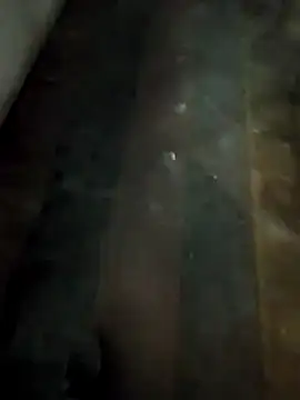 sexymssorder online show from April 2026 01:17:02 PM