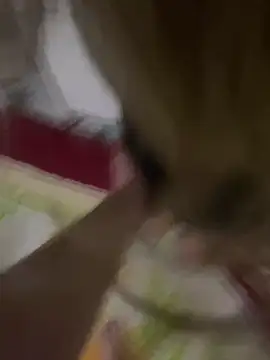 3turkish6model9 online show from February 2026 01:25:01 AM