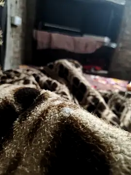 NEW CPL786 online show from December 2025 02:43:01 AM