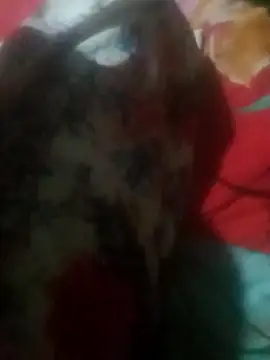 Snapshot of qeen3321 chatting on November 2025 05:24:01 PM qeen3321 online show from November 2025 05:24:01 PM