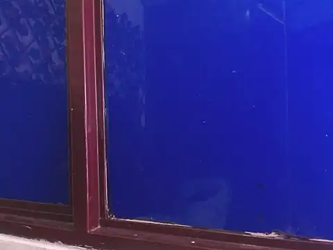 vrositaper online show from December 2025 09:15:01 PM