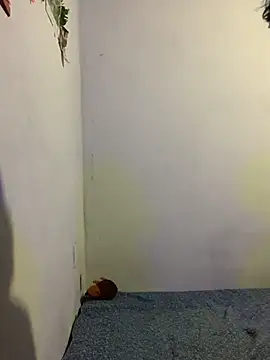 Snapshot of Arely-L1 chatting on February 2026 12:30:01 AM Arely-L1 online show from February 2026 12:30:01 AM