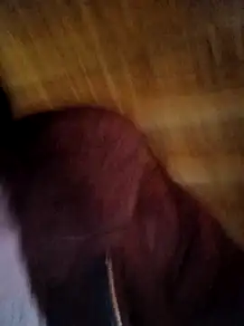 Evelyn-n online show from February 2026 06:57:01 AM