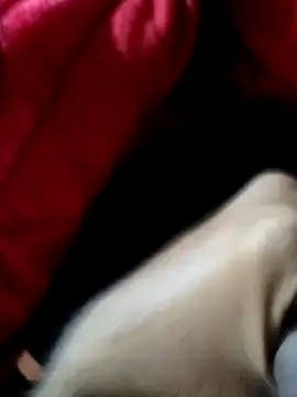 mast boy online show from December 2025 08:53:01 AM