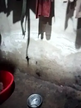 iam-eli online show from January 2026 12:31:02 PM