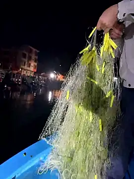 A-ZJunn online show from January 2026 12:55:02 PM