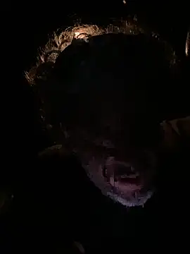 Petebulimia online show from March 2026 01:54:02 AM