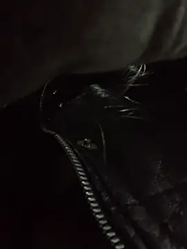 Snapshot of Katia-LS chatting on November 2025 07:14:01 PM Katia-LS online show from November 2025 07:14:01 PM