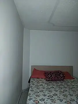 pamela 08 online show from January 2026 01:12:02 AM