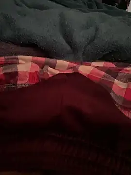 Snapshot of serg1io chatting on November 2025 07:47:01 PM serg1io online show from November 2025 07:47:01 PM