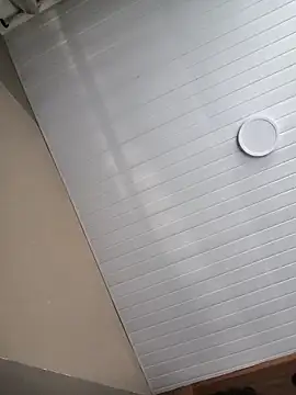 seunamoradinho7 online show from December 2025 10:05:02 AM