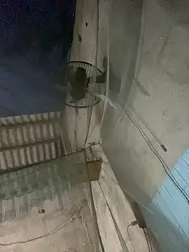 Lilik2 online show from February 2026 01:52:02 PM