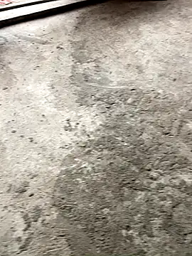 Lilik2 online show from December 2025 09:34:02 AM