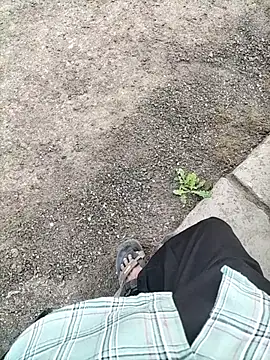 slimmicute online show from December 2025 11:49:01 AM