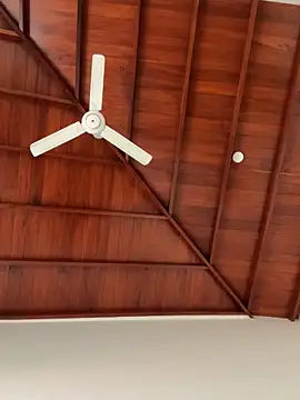 Snapshot of Dahan99346 chatting on December 2025 06:18:02 AM Dahan99346 online show from December 2025 06:18:02 AM