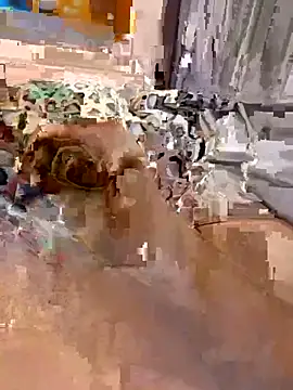 en93000 online show from April 2026 05:42:01 AM