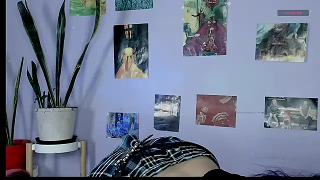 blueberry       online show from August 2026 06:30:01 AM