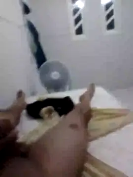 casallmaravilha online show from February 2026 02:33:01 AM